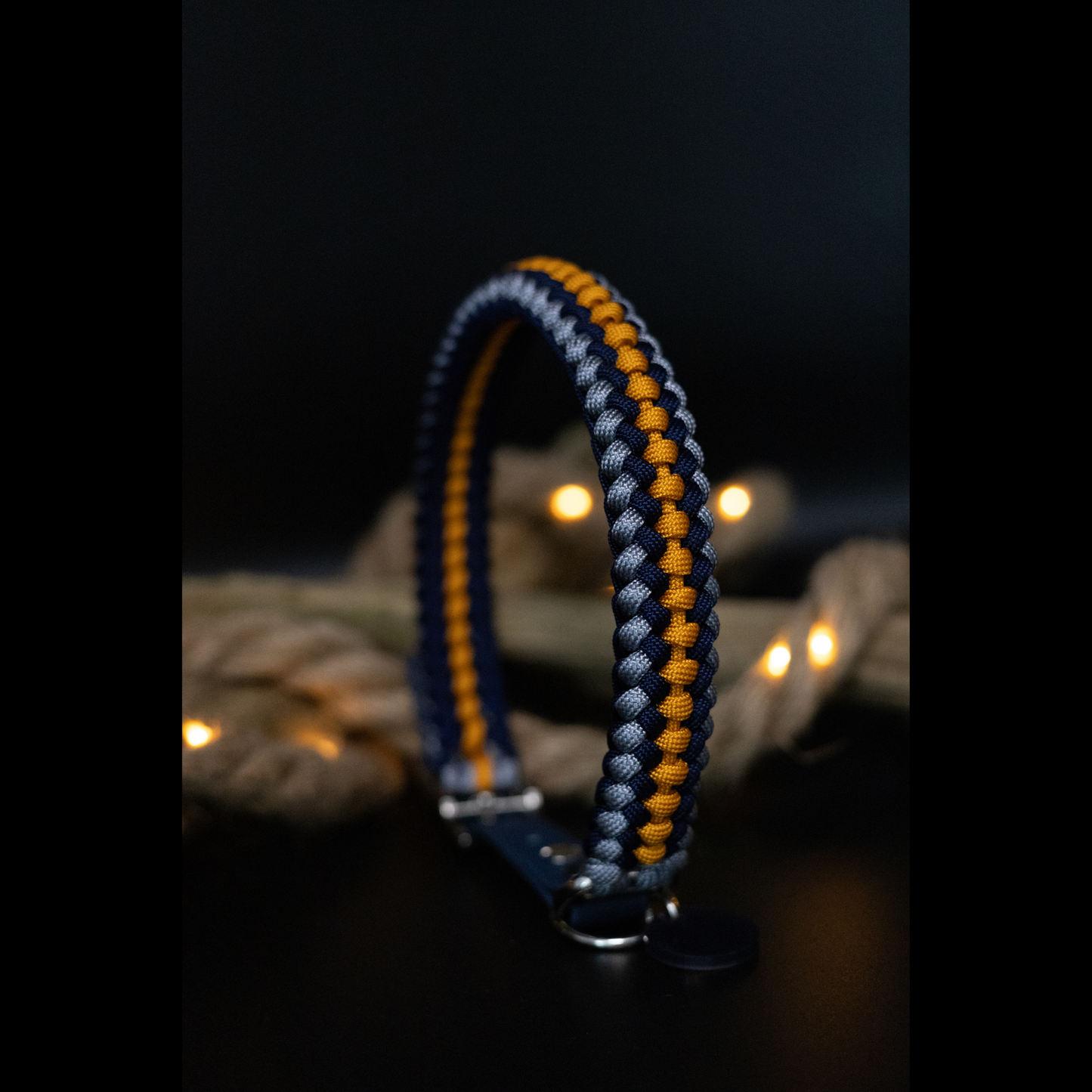 Individuelles Hundehalsband