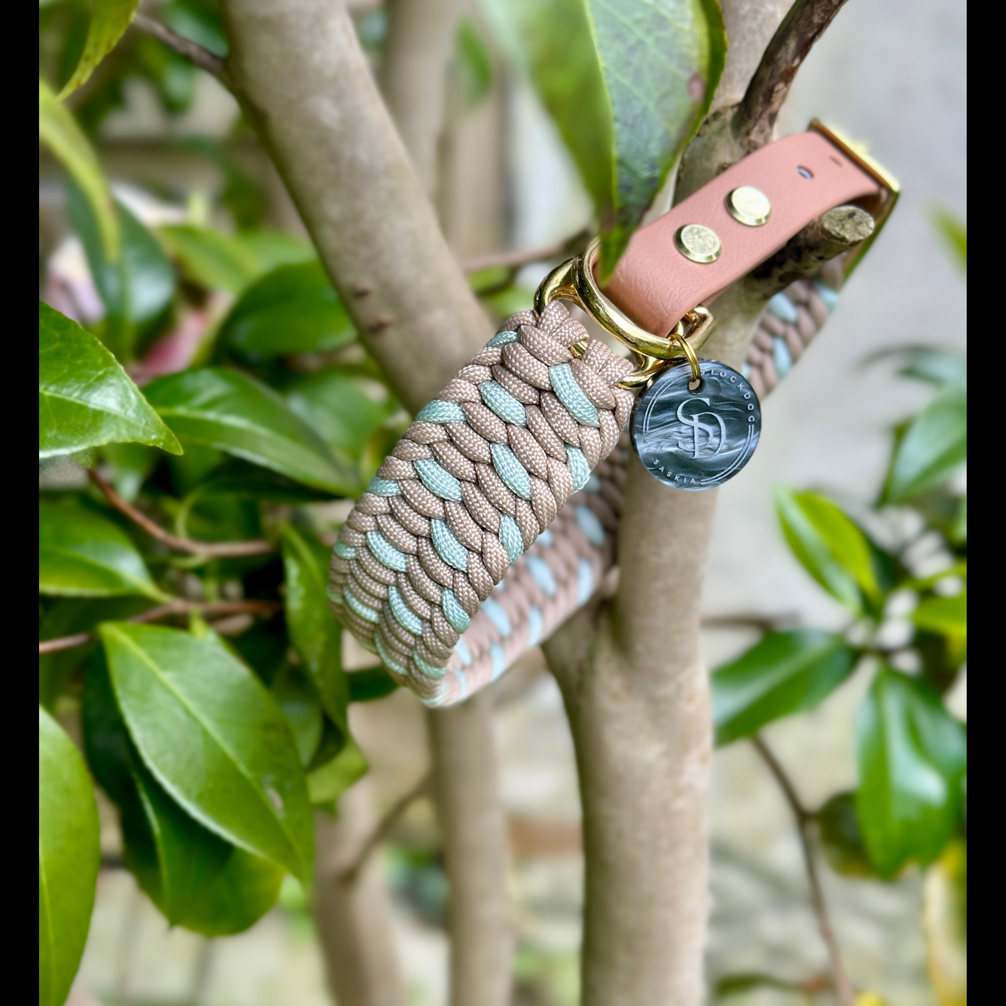 Individuelles Hundehalsband