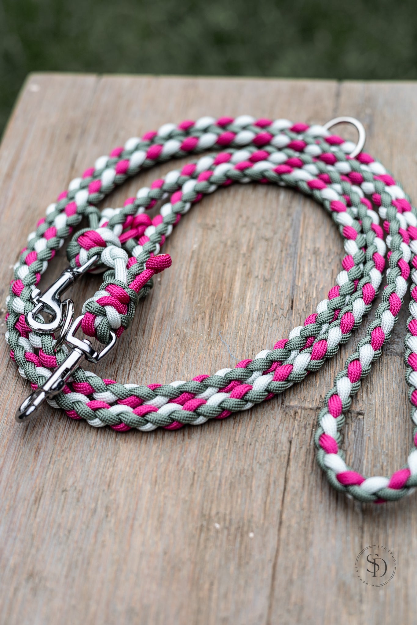 Hundeleine - Paris Light