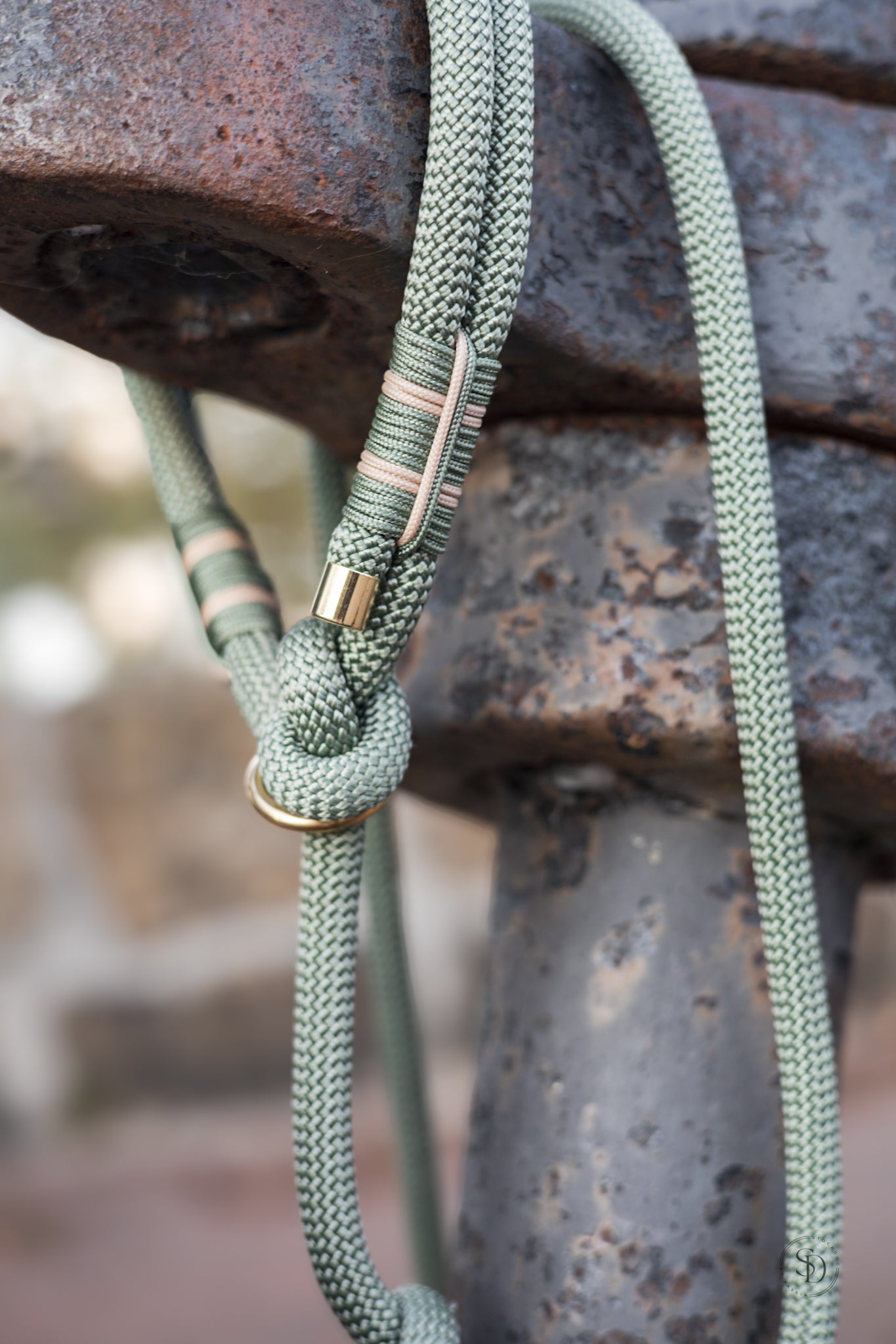 Retrieverleine Tau Edition