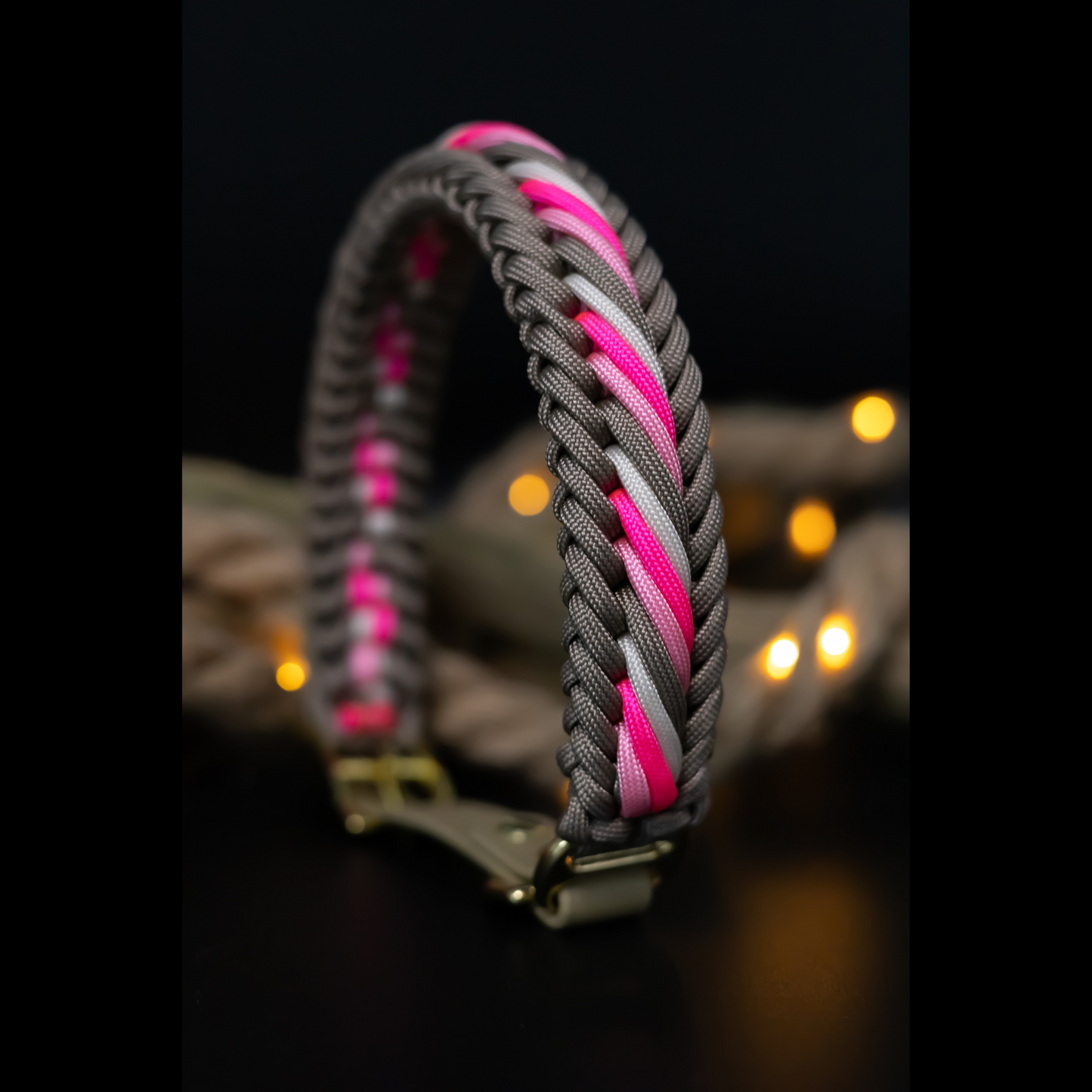 Individuelles Hundehalsband
