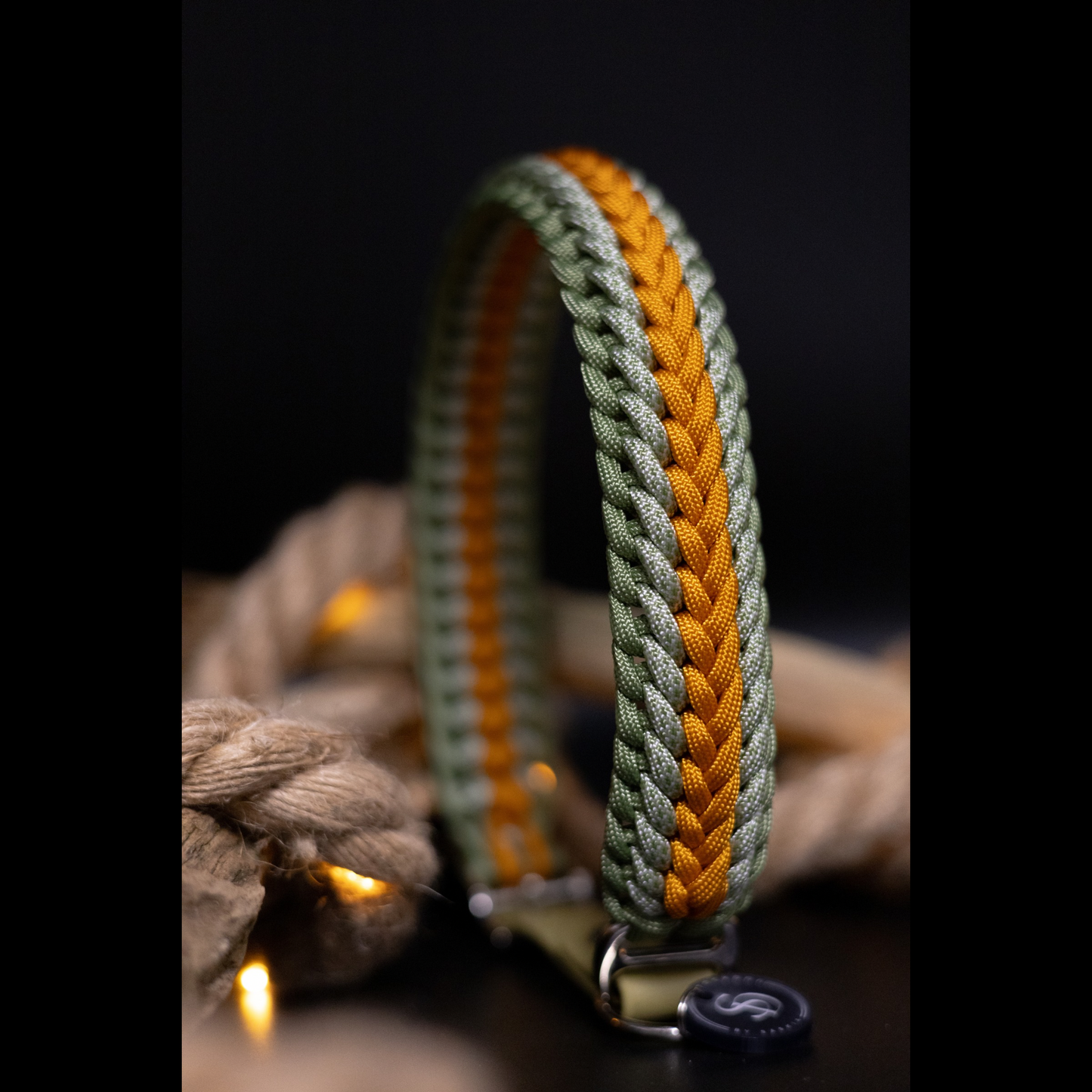 Individuelles Hundehalsband
