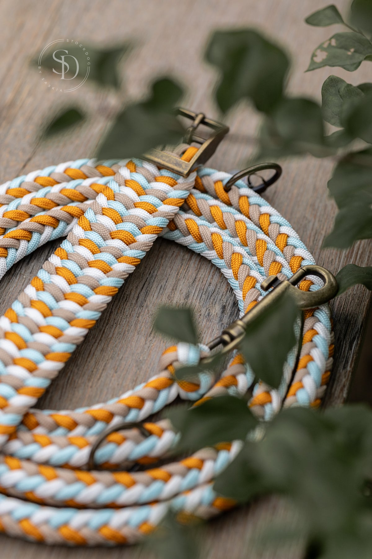 Halsband Colorful & Leine Paris - Ice Blue x Goldenrod