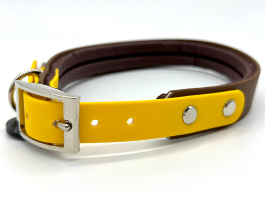 Halsband - Alltagsbegleiter Medium