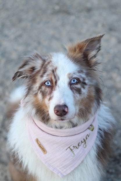 Hundehalstuch „Basic“ ohne Personalisierung