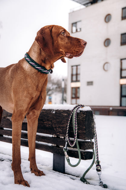 Bow‘s First Edition