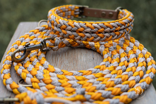 Halsband Rom & Leine Paris - Goldenrod x Mokka