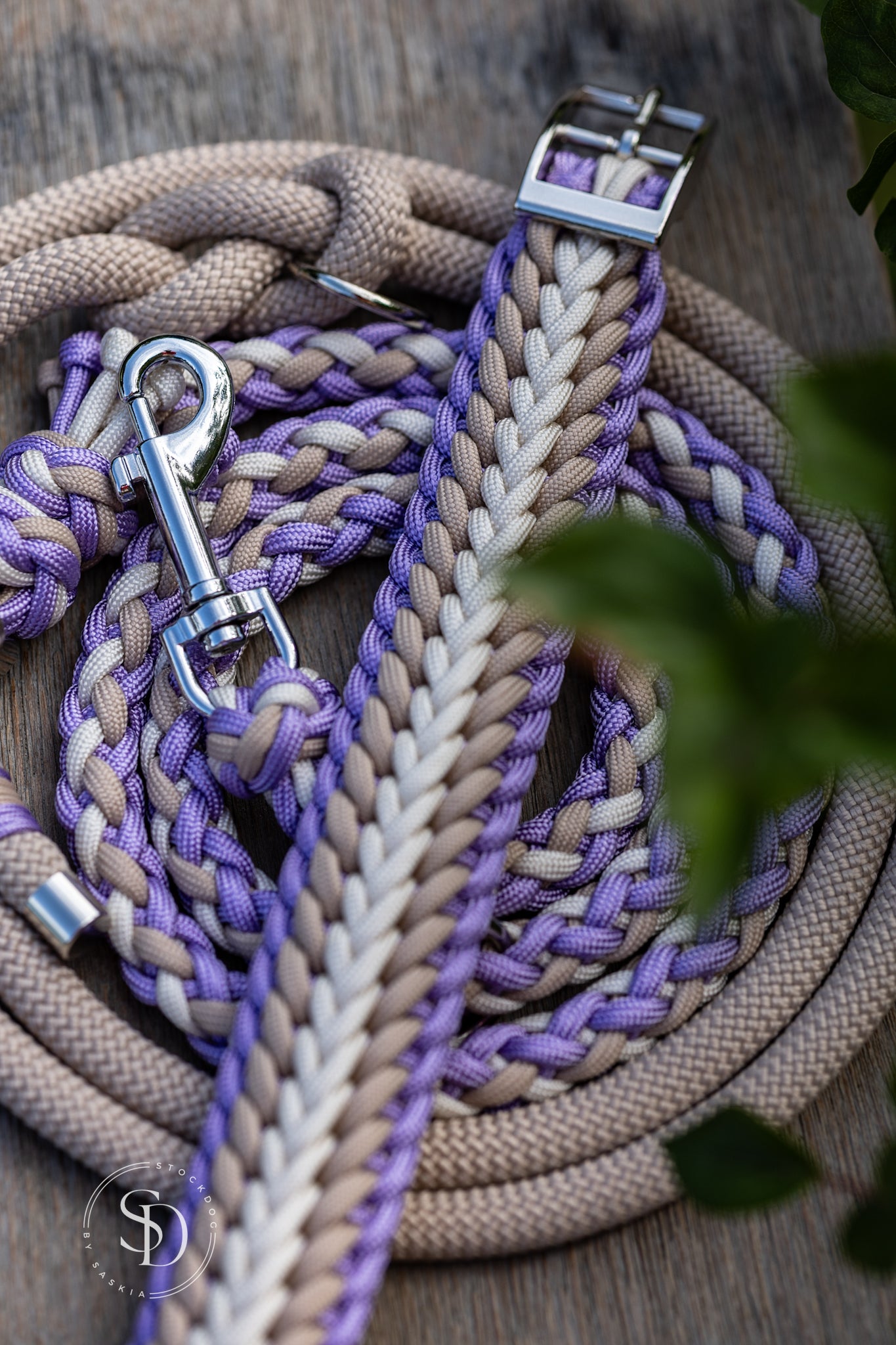 Halsband Rom & eine Paracord Tau Leine London