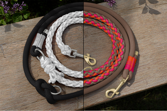 Paracord Tau Leine - London