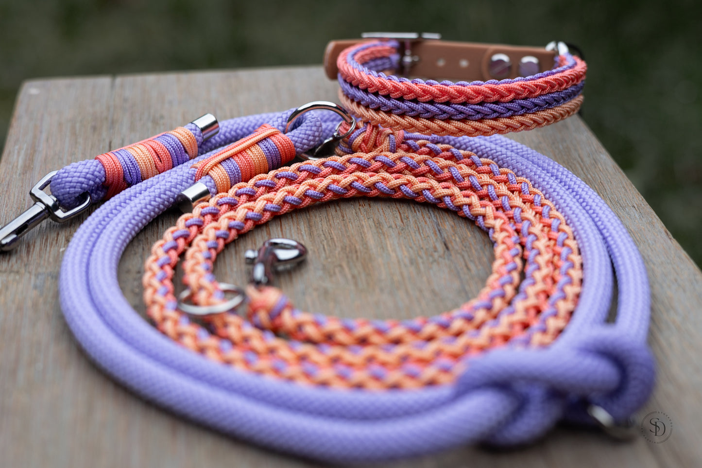 Halsband - Venice (Mini, bis 10kg)