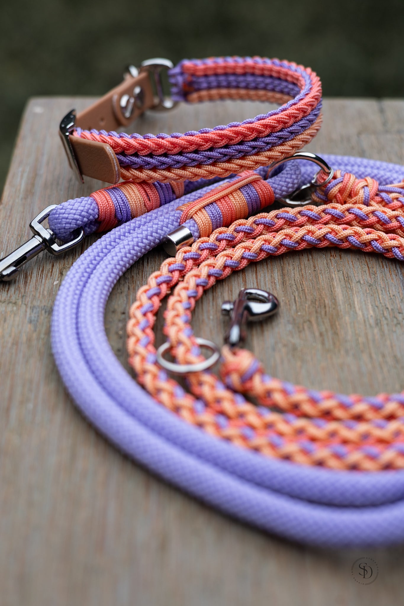 Halsband - Venice (Mini, bis 10kg)