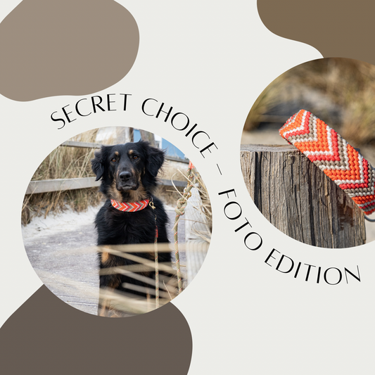 Secret Choice - Foto Edition