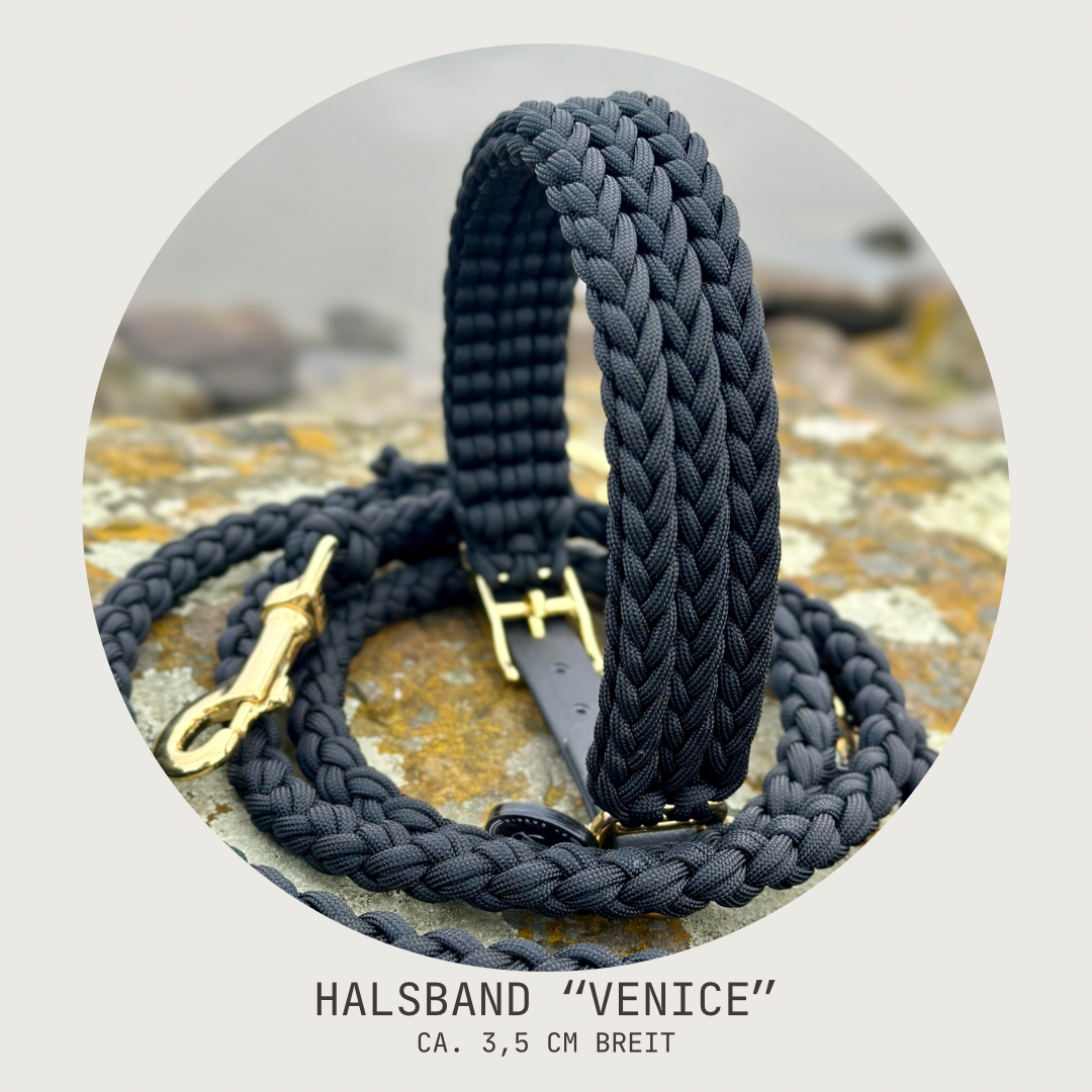 Individuelles Hundehalsband