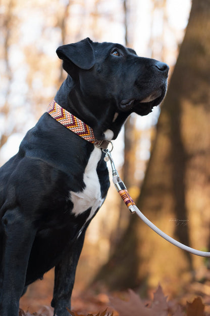 Püppi’s Golden Autumn