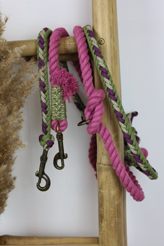 Leine „BPL-Baumwollparacord Leine“ - Moss, Aubergine