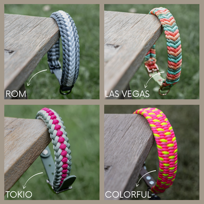 Boo - Box Überraschungs-Leine | Halsband | Set