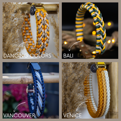 Boo - Box Überraschungs-Leine | Halsband | Set