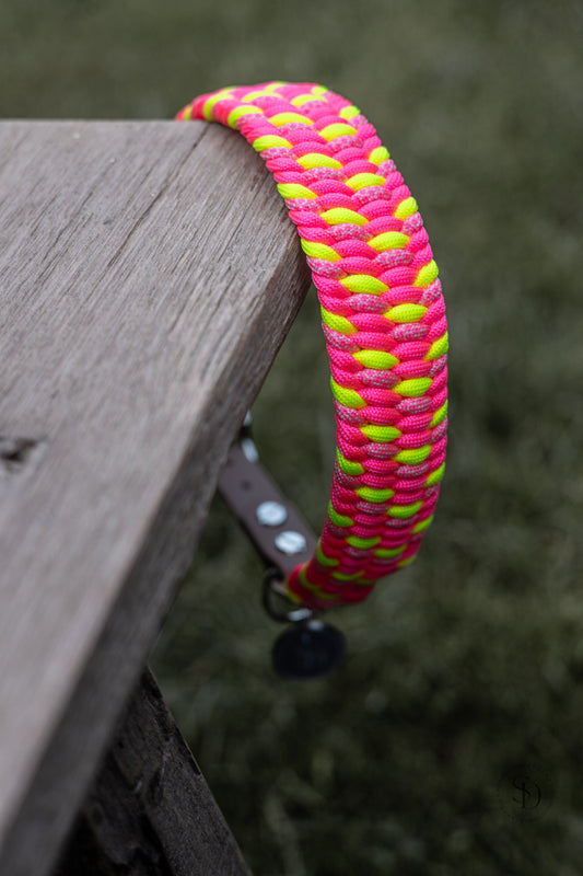 Halsband Modell „Colorful“