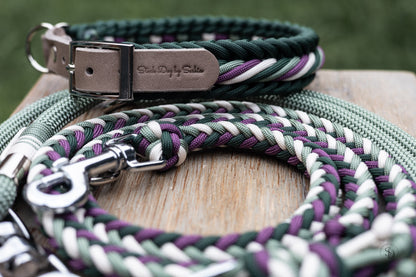 Bow‘s First Edition