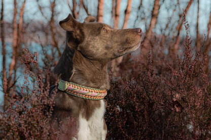 Halsband - Vancouver 2.0