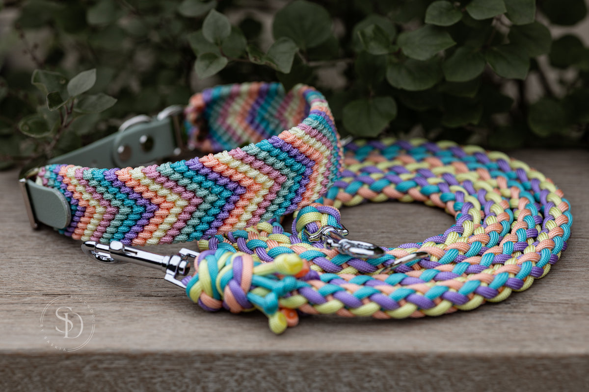 Halsband Friendship & Leine Paris - Rainbow Love