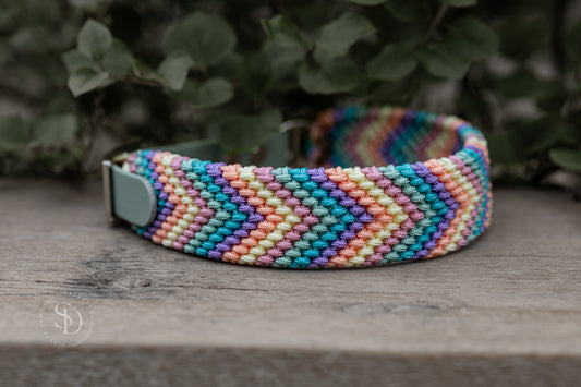 Halsband Friendship & Leine Paris - Rainbow Love