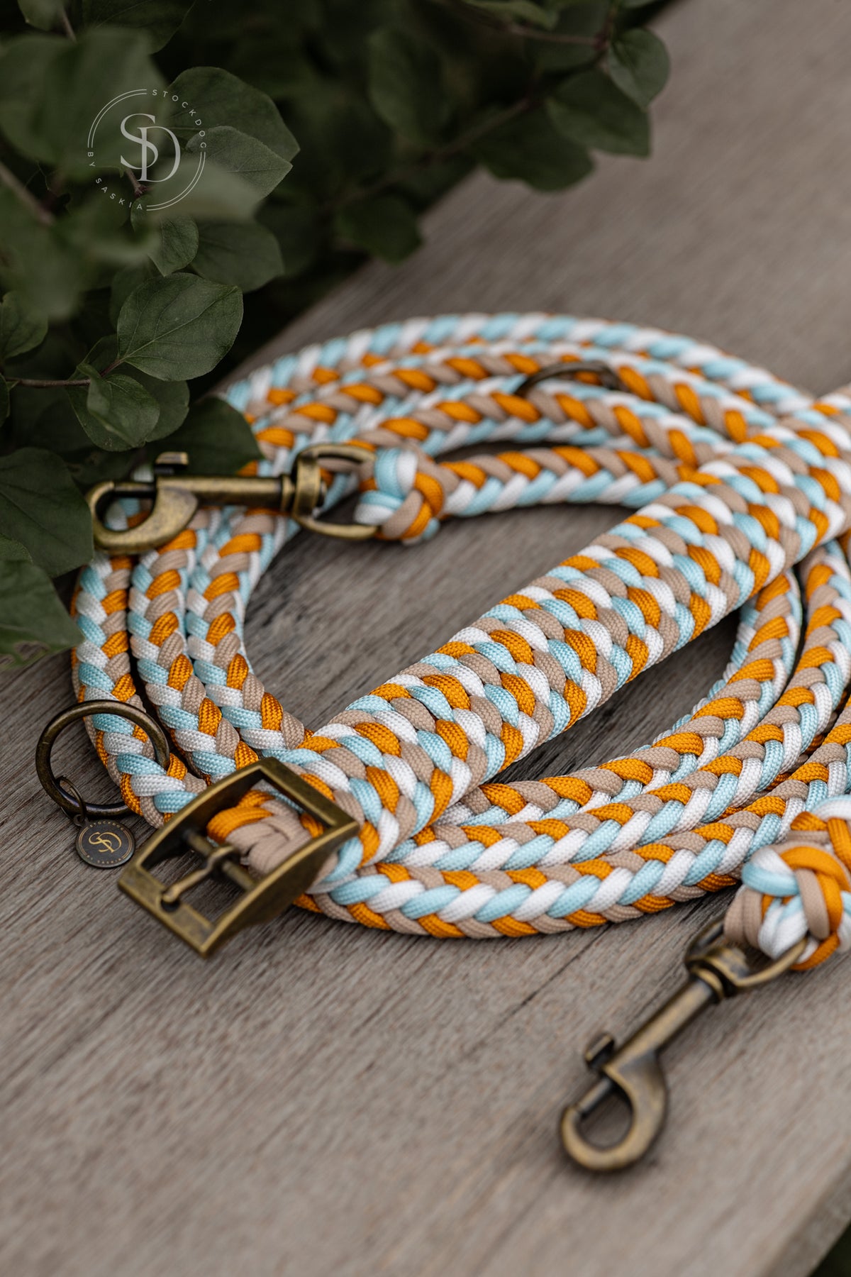 Halsband Colorful & Leine Paris - Ice Blue x Goldenrod