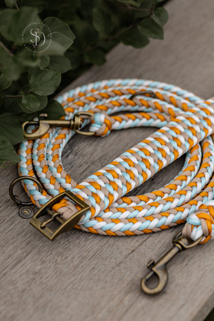 Halsband Colorful & Leine Paris - Ice Blue x Goldenrod