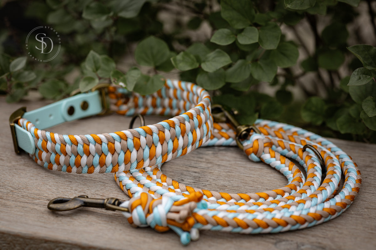 Halsband Colorful & Leine Paris - Ice Blue x Goldenrod