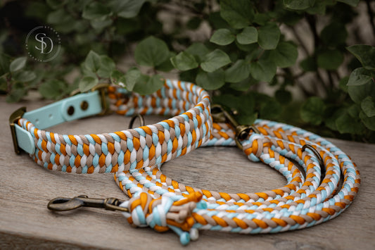 Halsband Colorful & Leine Paris - Ice Blue x Goldenrod