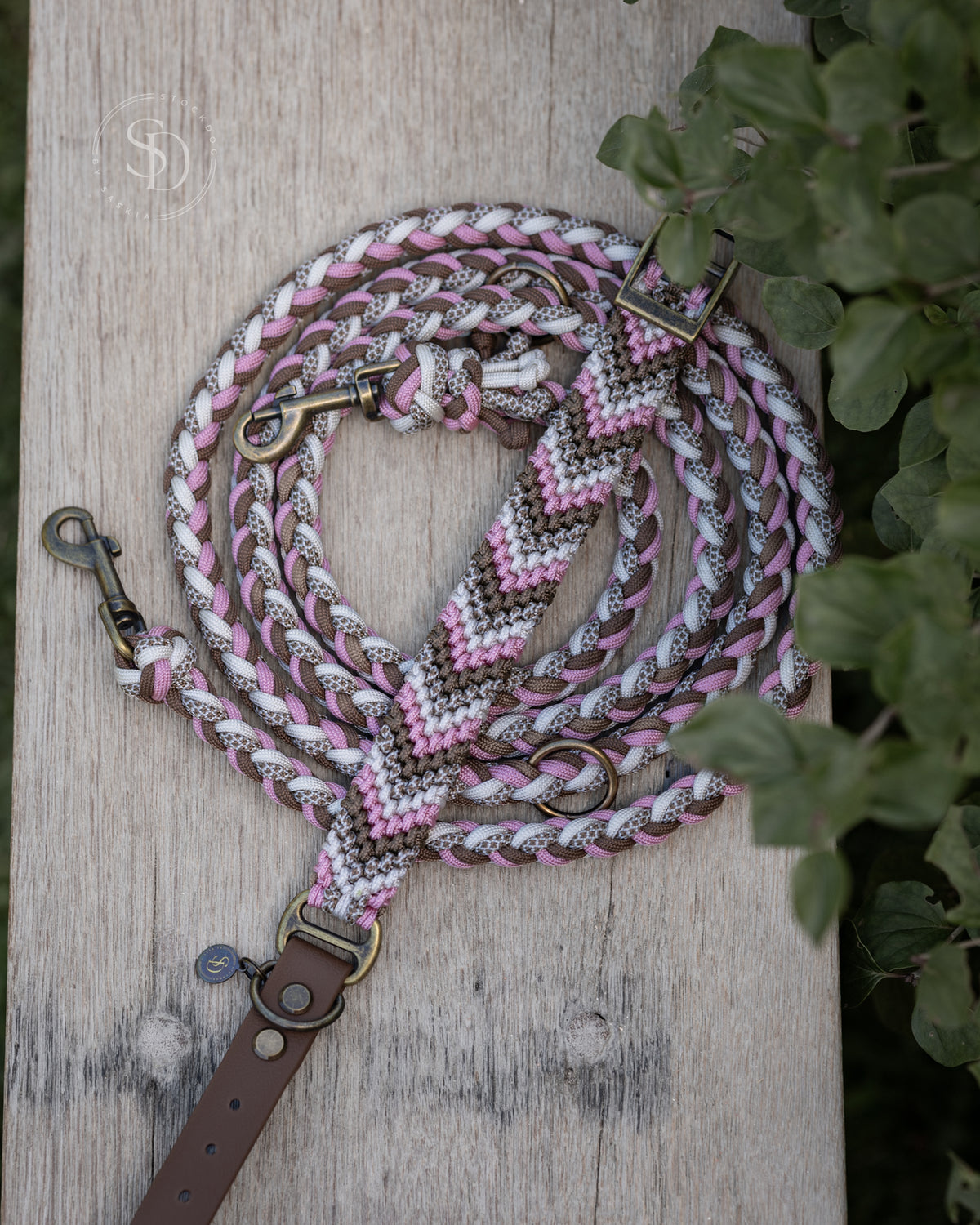 Halsband Friendship und Leine Paris - Braun x Rosa