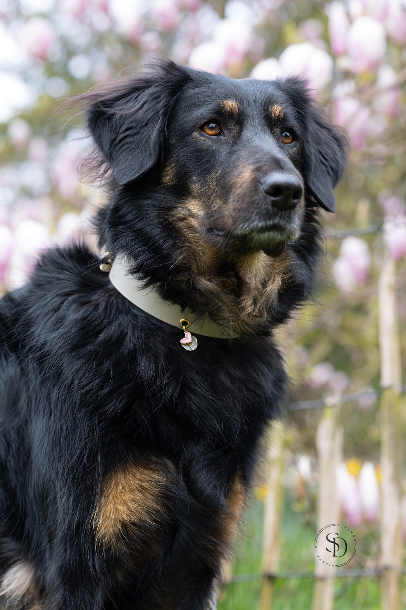 Gestalte deine Basis