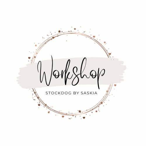 Pfotenworkshop by Saskia am 15.07.2023 (in 26871 Papenburg)